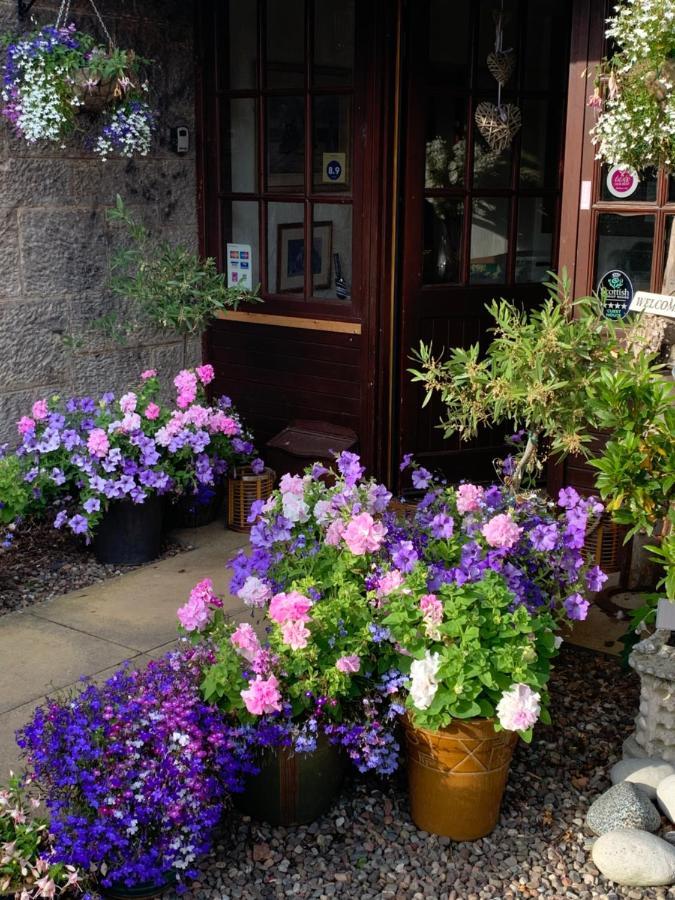 The Old Station Guest House St Andrews Exterior photo